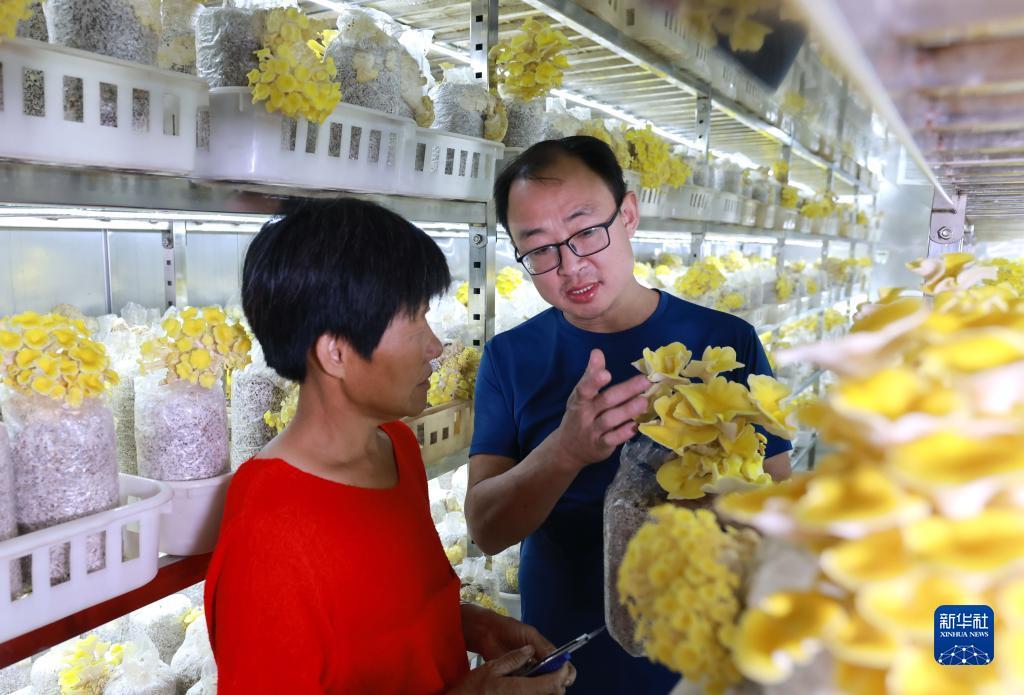 正规飞禽走兽